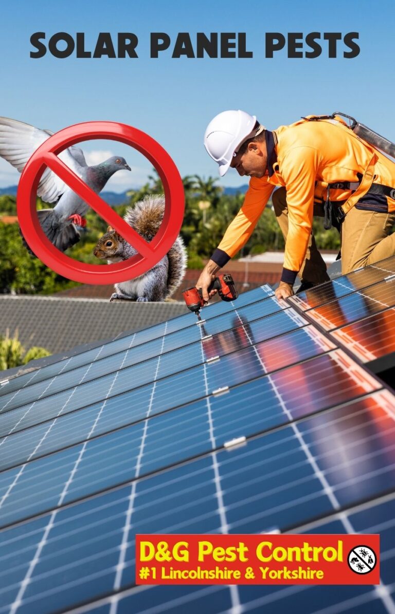 solar panel protection scunthorpe