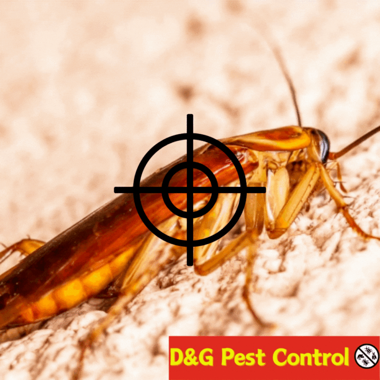 cockroach pest control scunthorpe