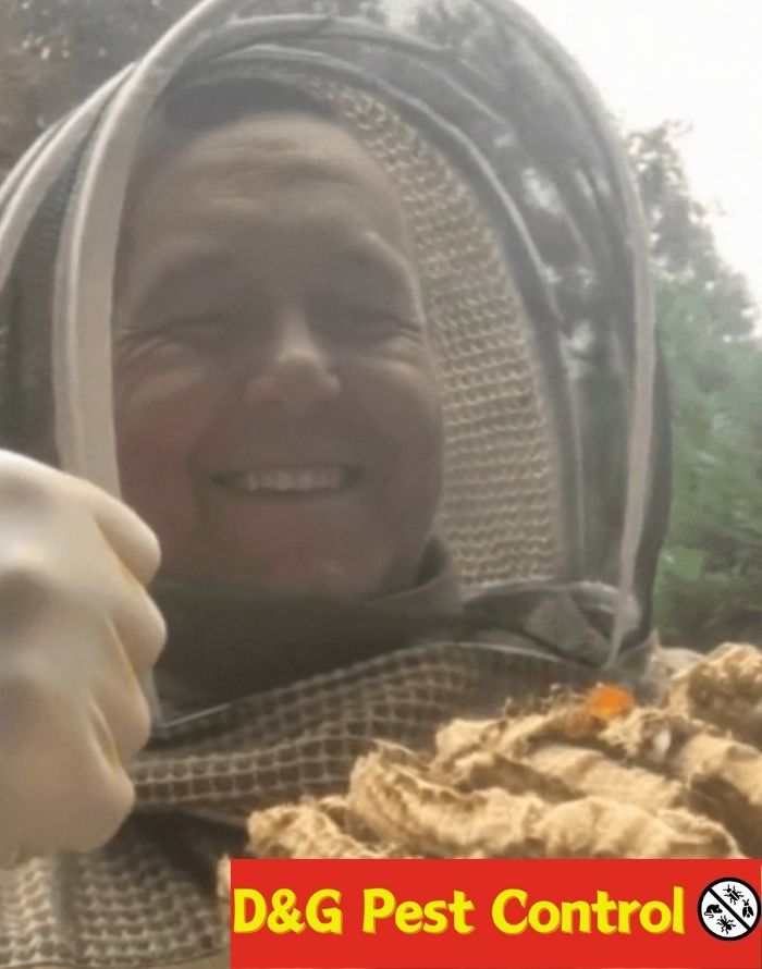 bee pest control scunthorpe