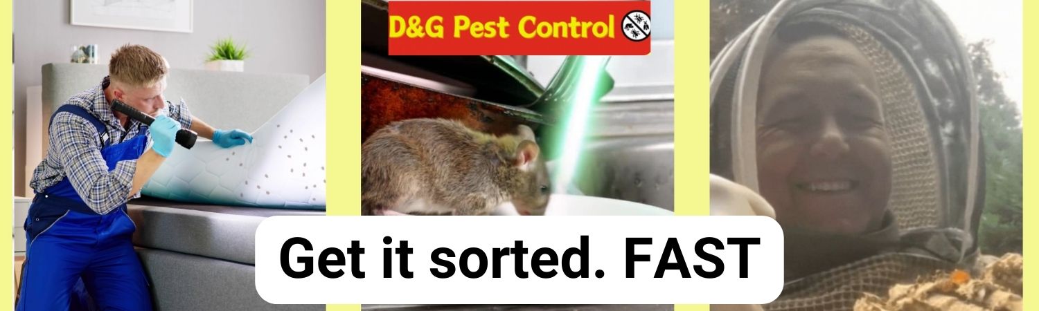 pest control in hull