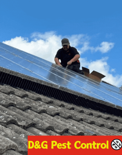 solar panel pest protection
